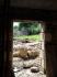 Hueco abierto en muro de piedra - Vivienda en Lamio - Brin - 